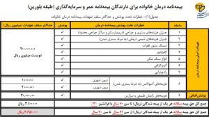 bl 300x168 - بیمه درمان خانواده