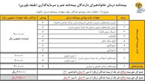 درمان تکمیلی طرح بلورین 1 300x167 - درمان تکمیلی طرح بلورین