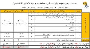 درمان تکمیلی طرح زرین 300x164 - بیمه درمان تکمیلی خانواده ویژه دارندگان عمر و سرمایه گذاری