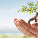 چرا باید بیمه عمرو سرمایه گذاری تهیه کنیم